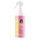 SWAG Lady APC RTU 500ml - pH-neutrales universelles Reinigungsmittel